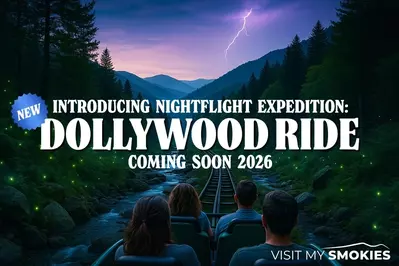 dollywood's nightflight expedition is one of the new things to do in the Smoky Mountains