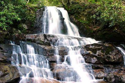 the upgraded laurel falls trail is one of the new things to do in the Smoky Mountains