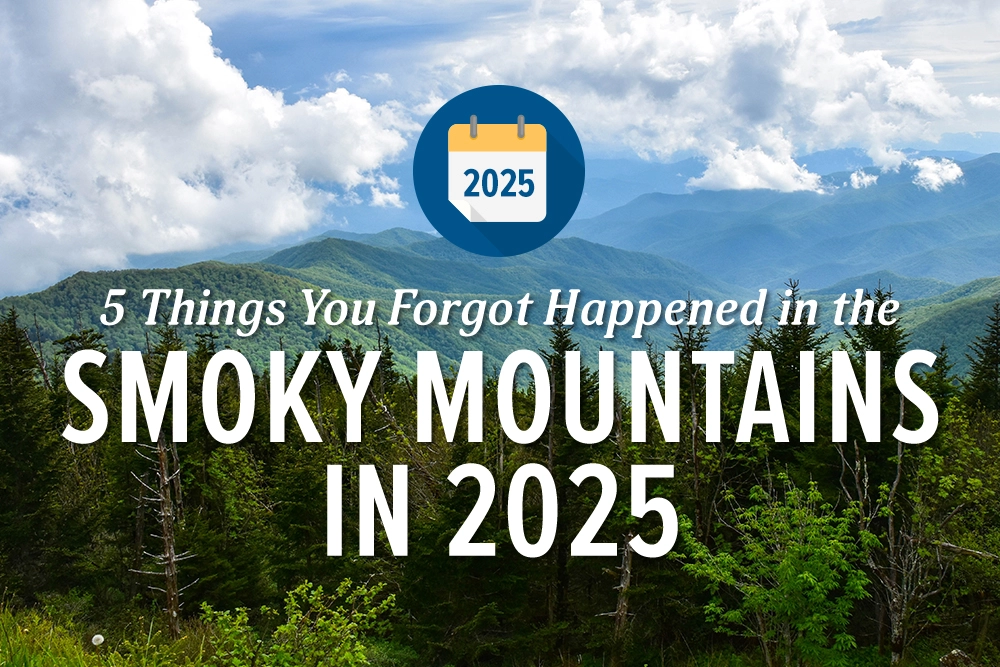 5 Things You Forgot Happened in the Smoky Mountains in 2025