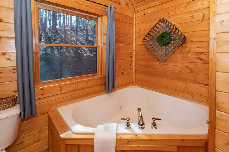 Stardust Mountain II